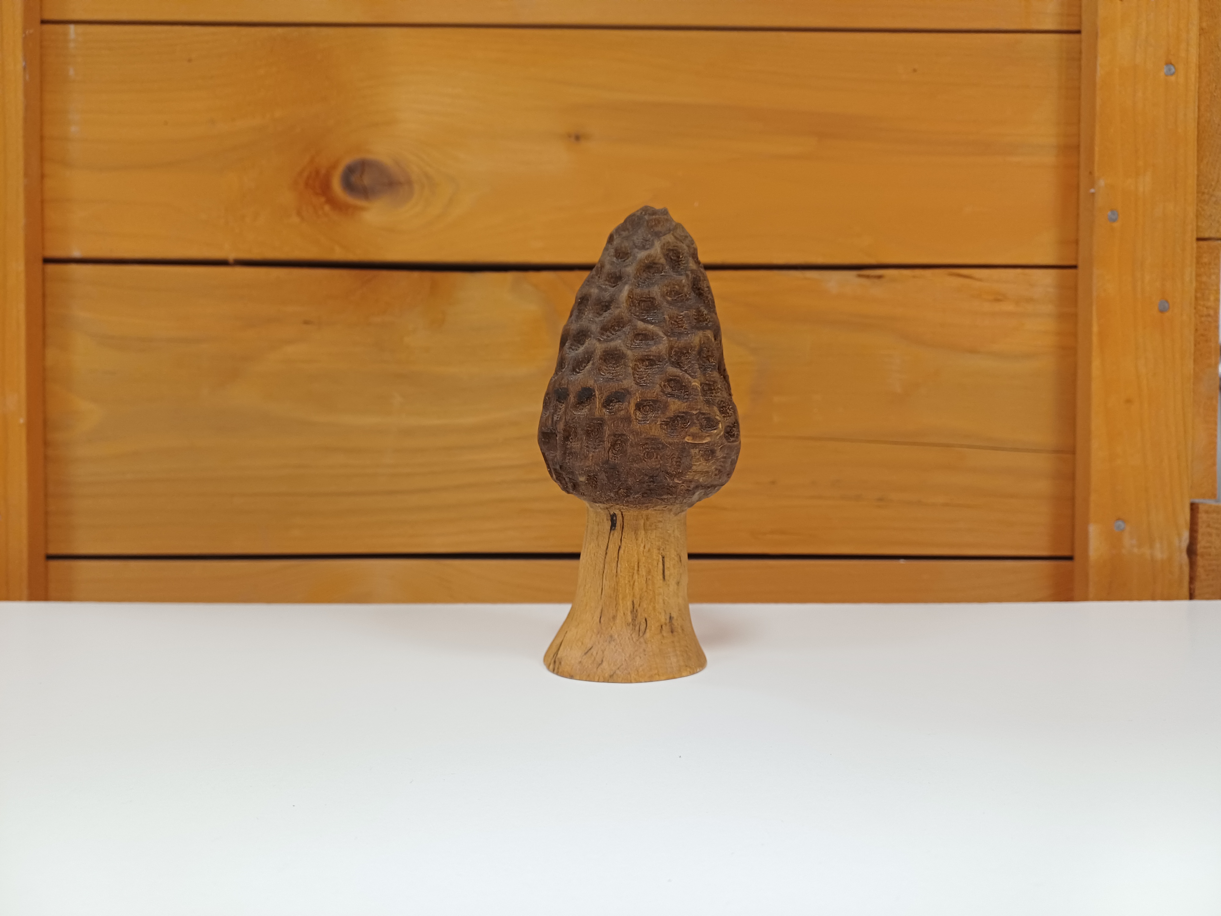 Morille 15 Cm